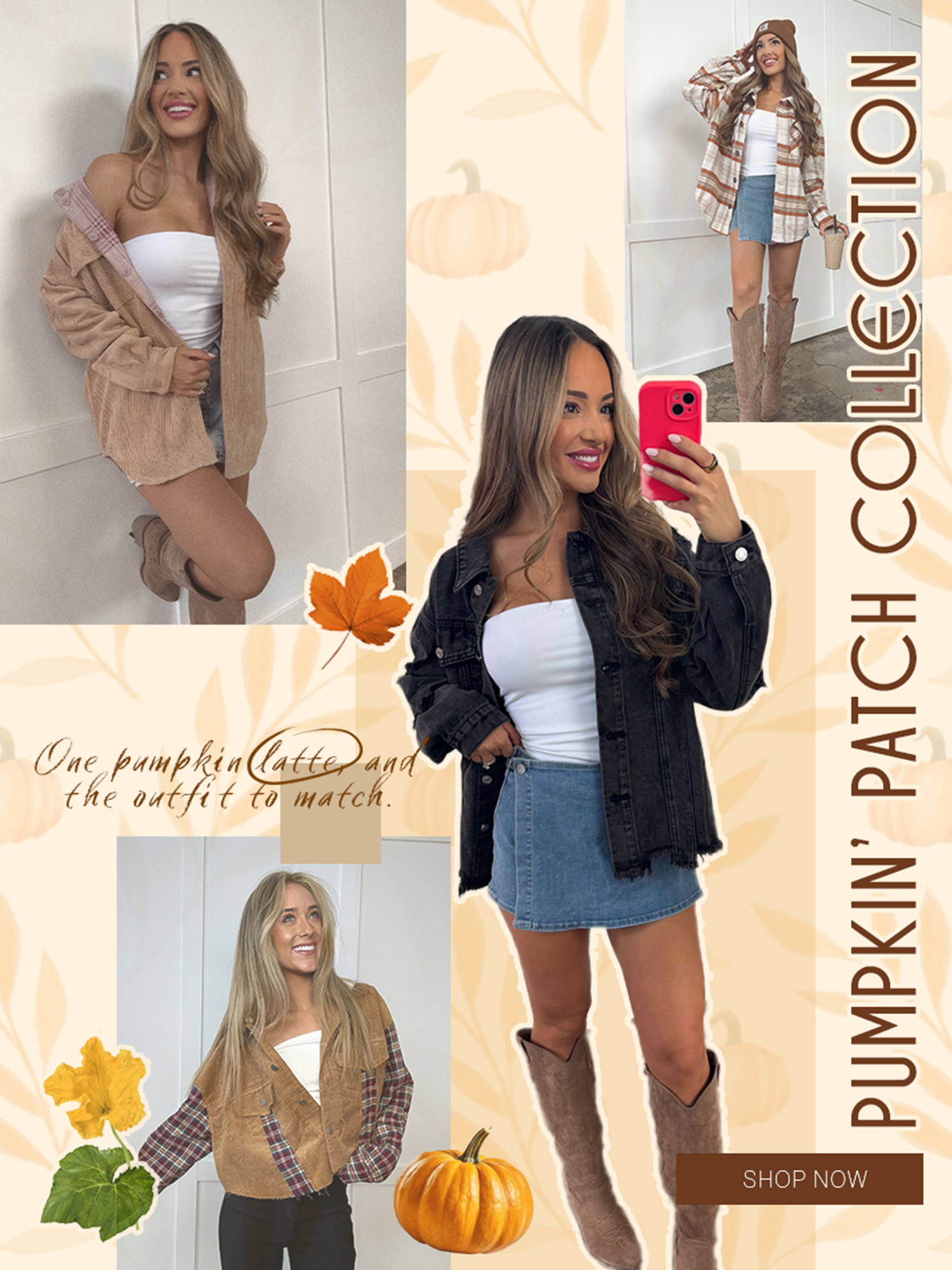 Pumpkin Patch Collection
