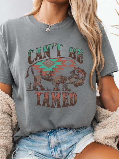 Can't Be Tamed Graphic