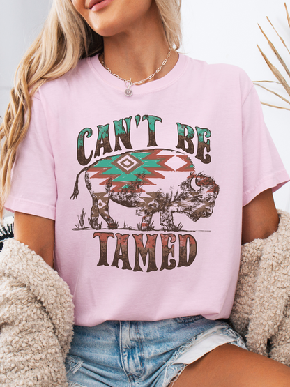 Can't Be Tamed Graphic
