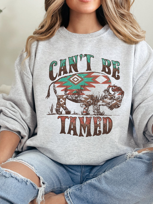 Can't Be Tamed Graphic