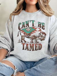 Can't Be Tamed Graphic