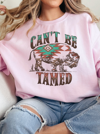 Can't Be Tamed Graphic