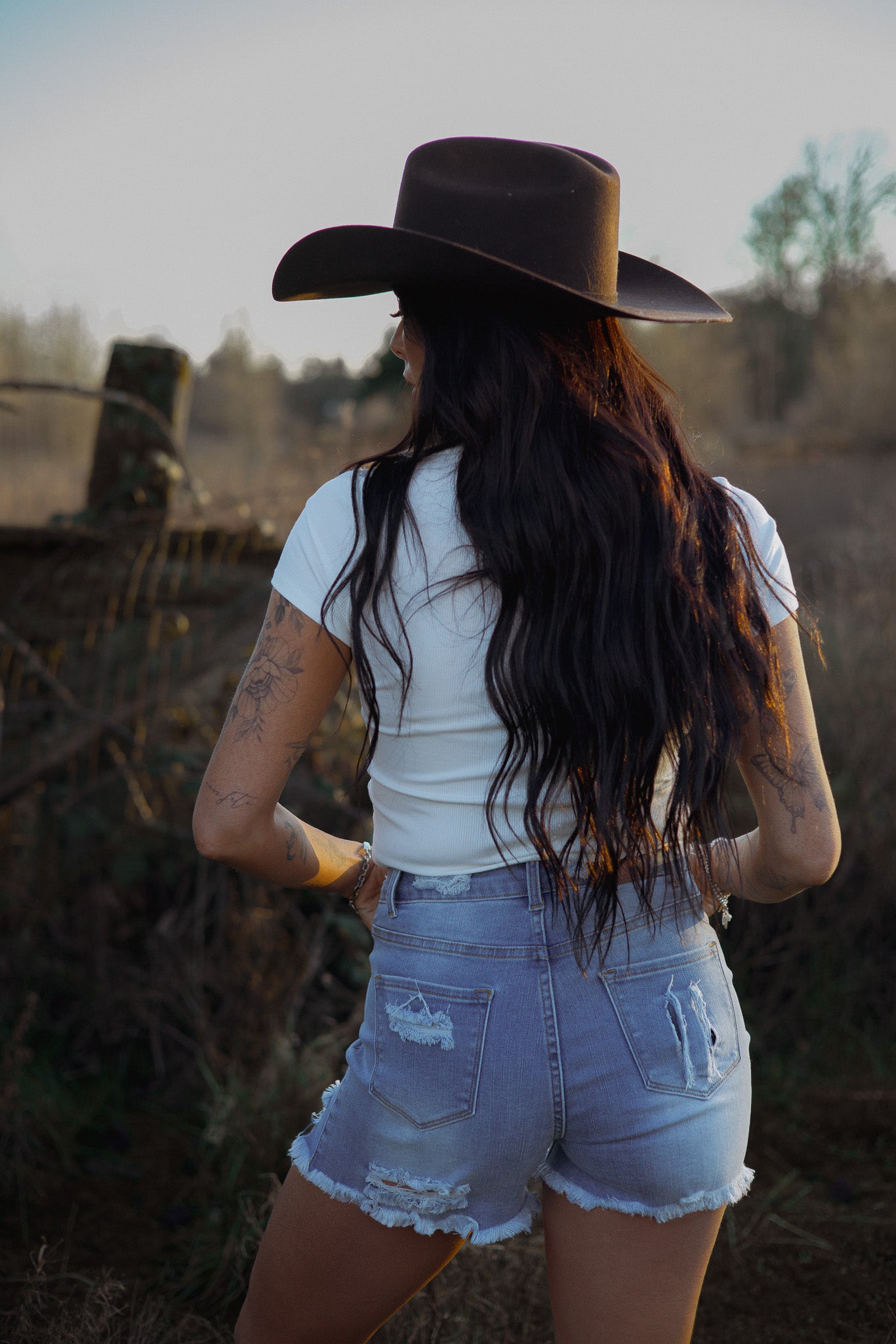 Breanne Distressed High Rise Shorts