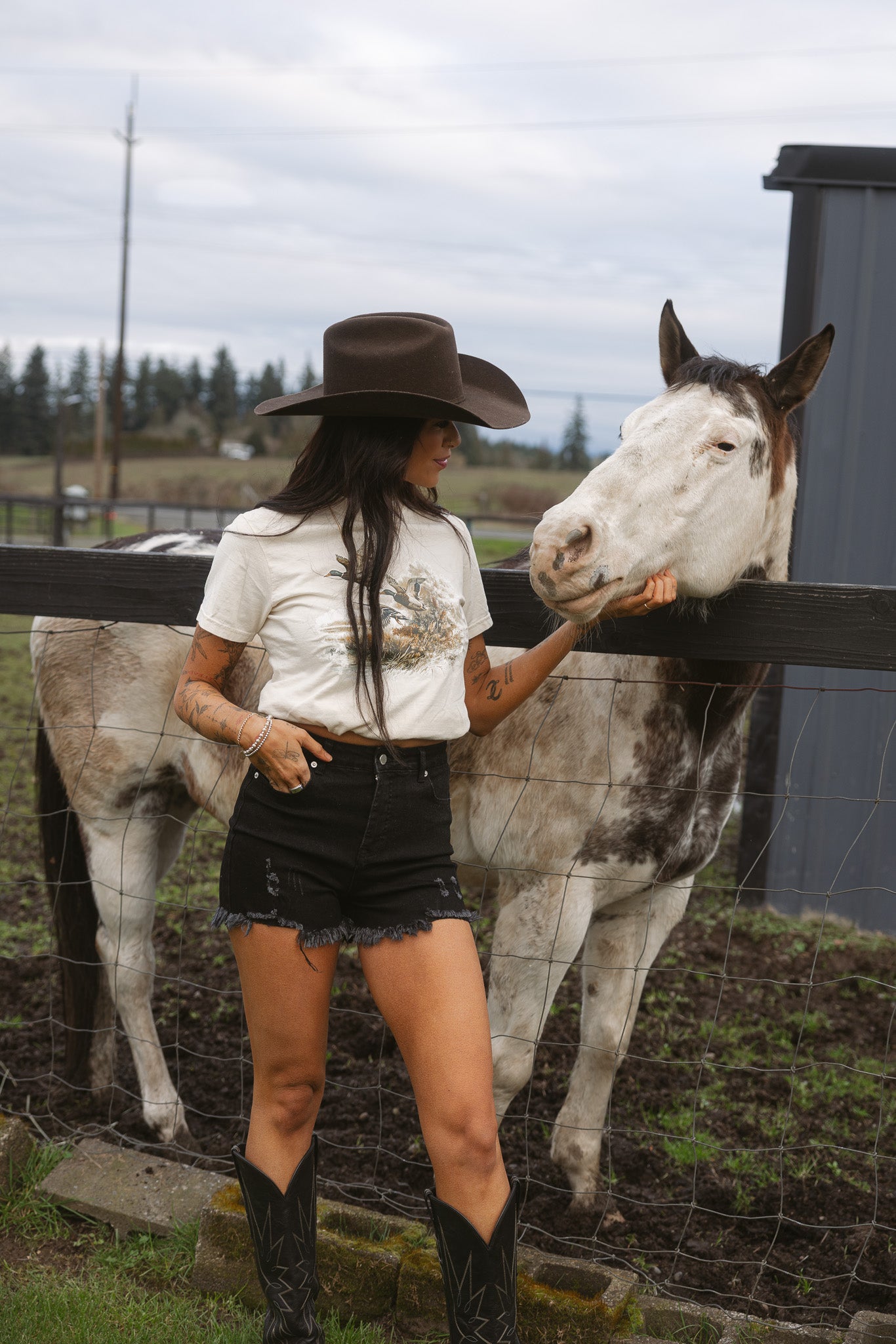 Golden Flight Mallard Graphic