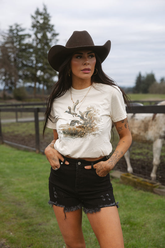 Golden Flight Mallard Graphic