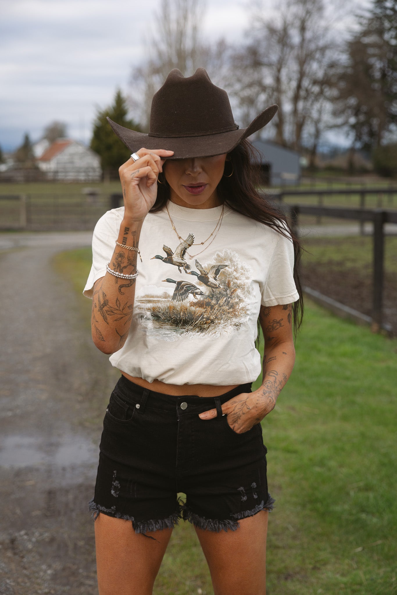 Golden Flight Mallard Graphic