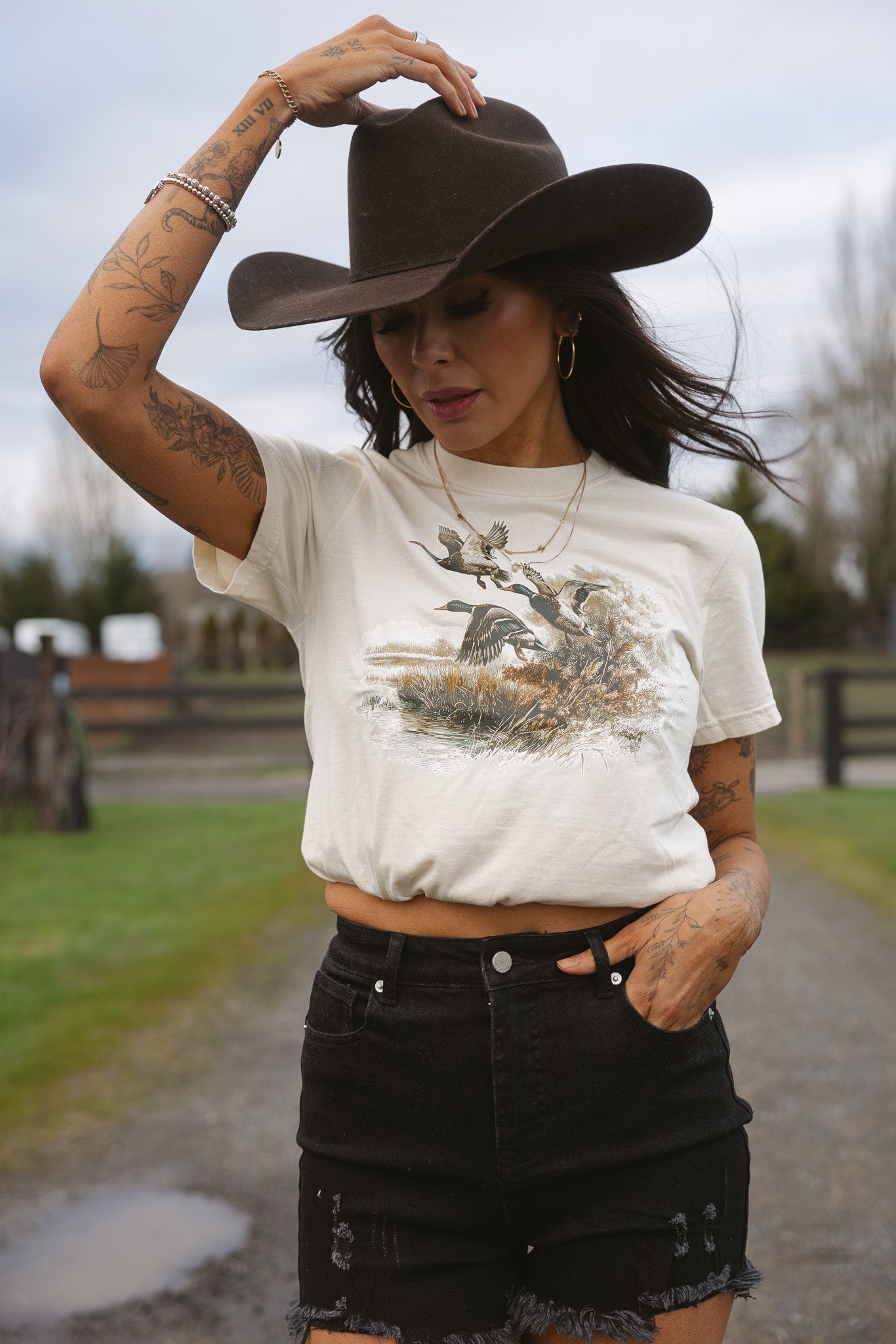 Golden Flight Mallard Graphic