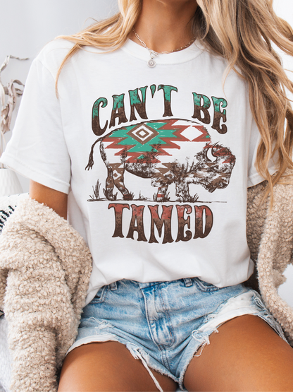 Can't Be Tamed Graphic