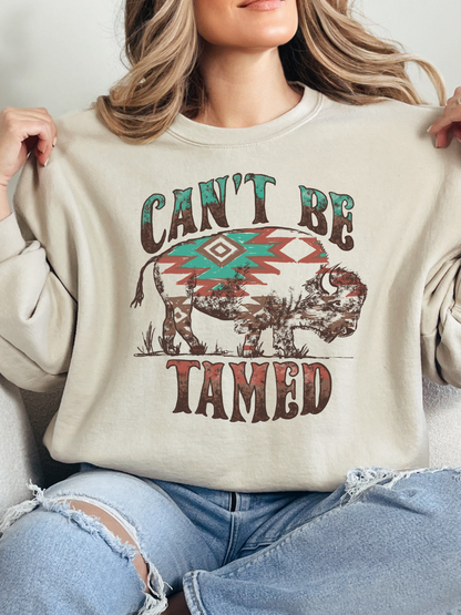 Can't Be Tamed Graphic