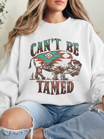Can't Be Tamed Graphic