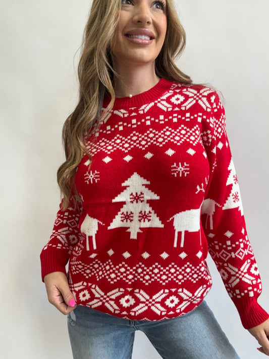 PREORDER: Under the Mistletoe Round Neck Mini Sweater Dress