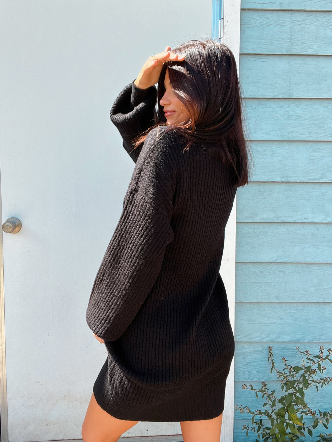 Sage Turtleneck Sweater Dress - Black