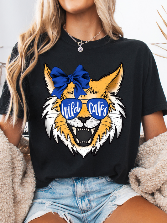 Wildcats Graphic