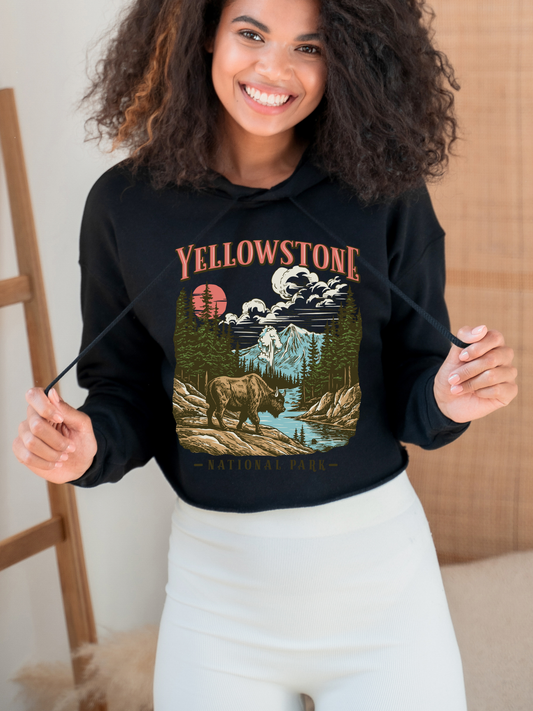 Yellowstone Graphic