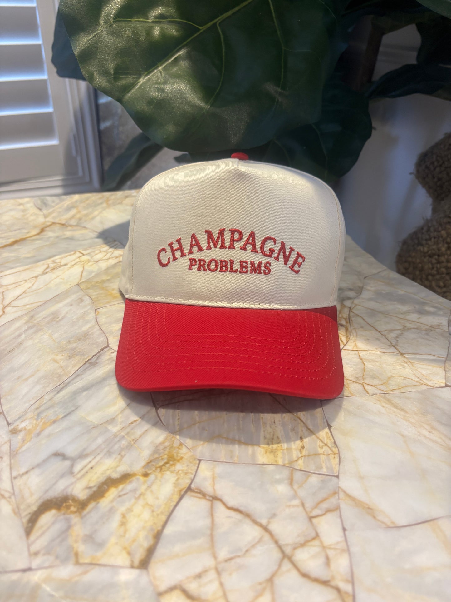 Mo Money Mo Problems Trucker Hat