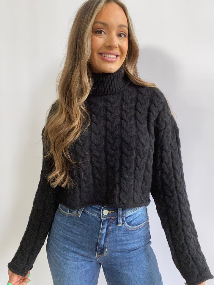 Marinette Turtle Neck Long Sleeve Sweater- Black