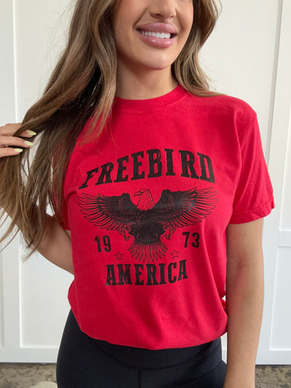 Freebird 1973 Graphic