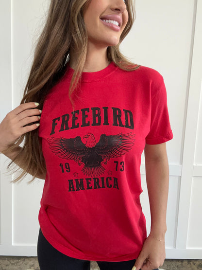 Freebird 1973 Graphic