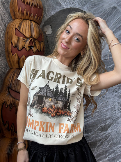 Hagrid's Pumpkin Farm