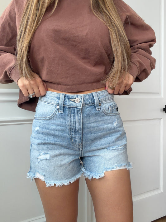 Jacey Distressed Denim Shorts