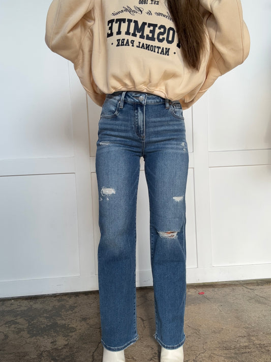 Rylee Risen High Rise Ankle Straight Front Body Distressed Jeans