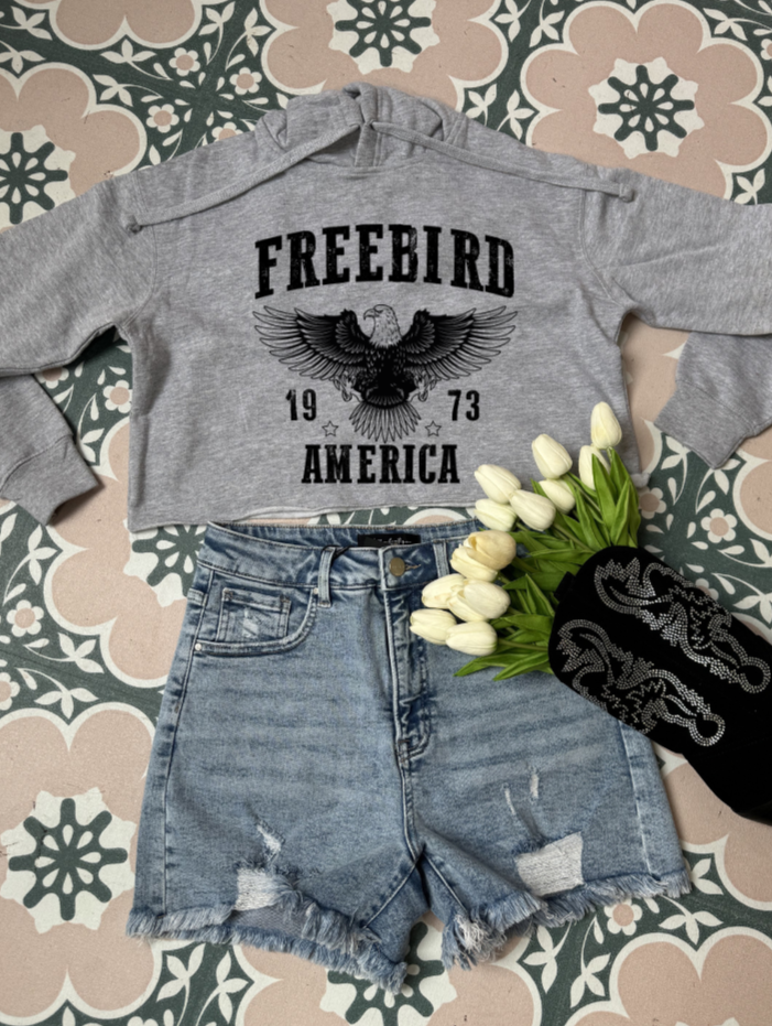 Freebird 1973 Graphic