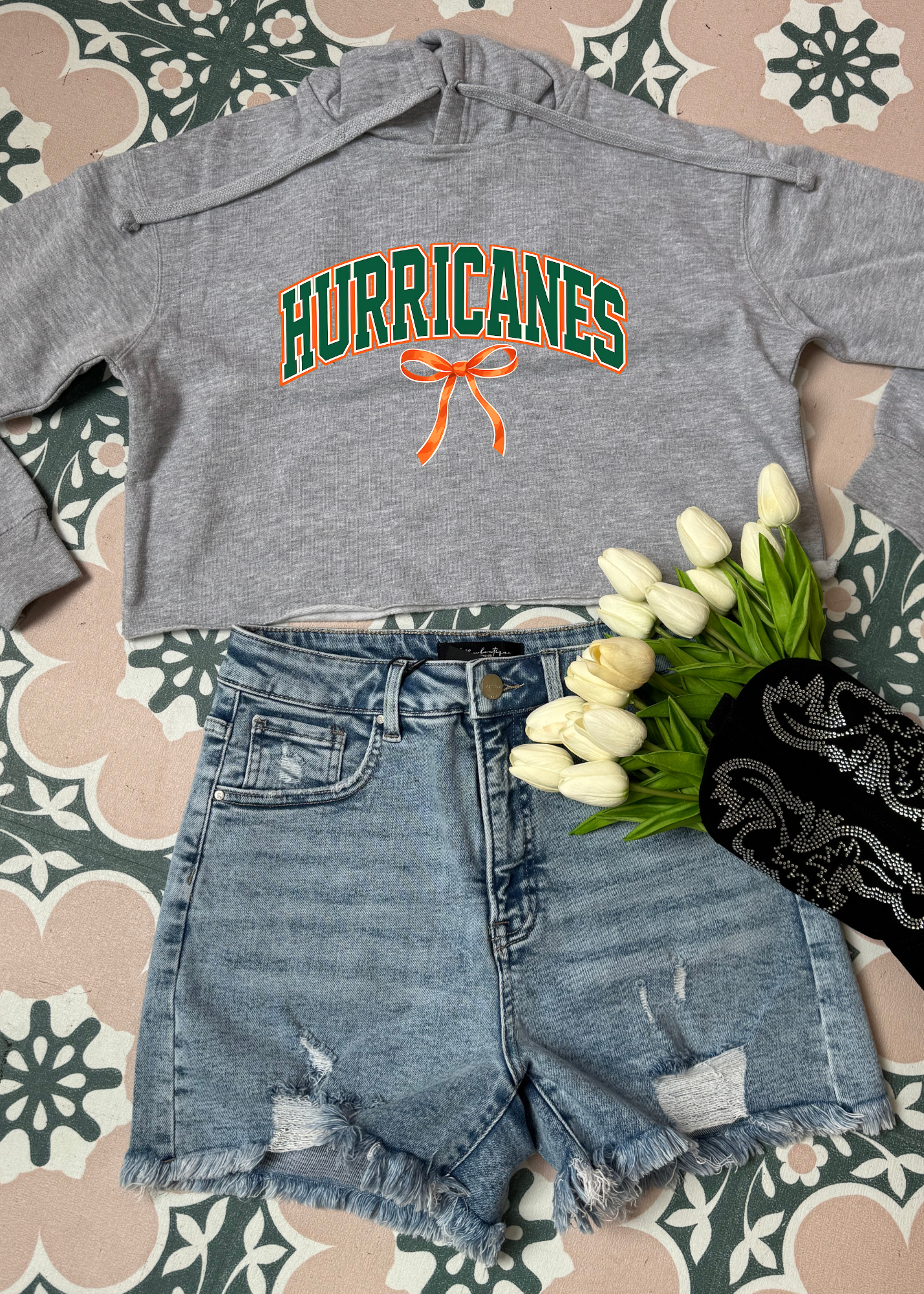 Hurricanes Graphic
